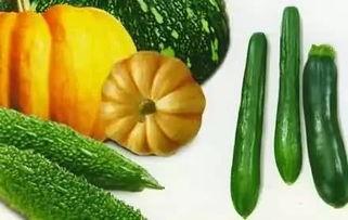 财经吃瓜,财经圈那些鲜为人知的“吃瓜”故事