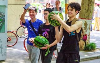 吃瓜的学校,揭秘校园里的那些“秘密”故事