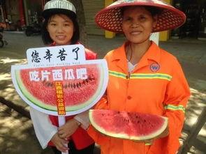 幸福巷吃瓜,揭秘街头美食背后的幸福故事