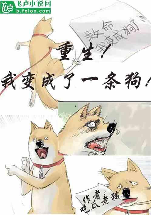 落落吃瓜小说在线阅读