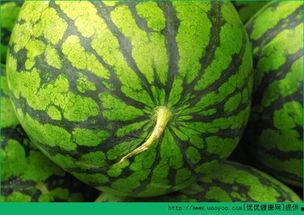 烧了可以吃瓜吗,揭秘烧了也能吃的神奇瓜果