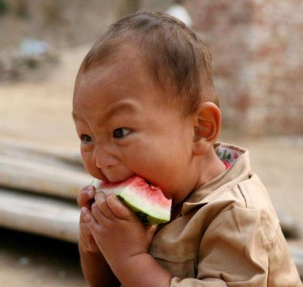 吃瓜胖男孩头像,揭秘吃瓜界的萌宠形象