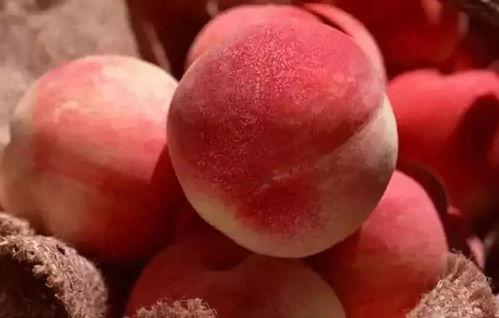 吃瓜窗外桃子,吃瓜者的夏日诱惑