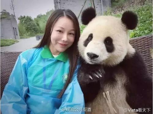 成都熊猫直播吃瓜事件,一场网络直播的争议与反思