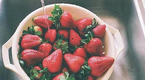 吃瓜草莓园,甜蜜果实背后的故事