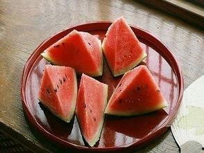 沈阳有啥吃瓜事件