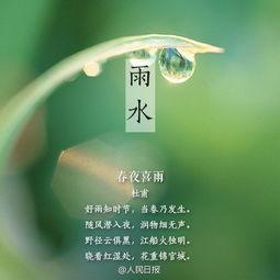 春雨吃瓜不打烊,瓜果飘香——不打烊的春日美食盛宴