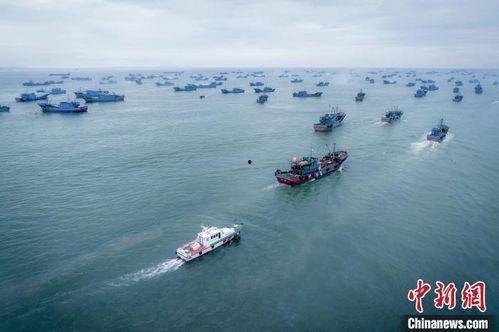 渔船出海吃瓜视频的人,一场瓜田盛宴的奇遇记