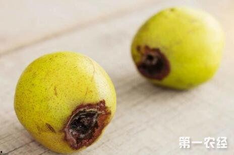 角瓜有一点烂可以吃吗,还能安全食用吗？