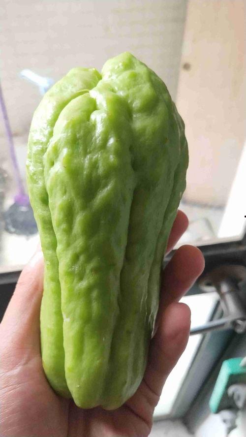 胡篓瓜怎么吃,解锁美味新体验