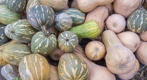 吃瓜来盘它,盘点那些年我们一起“盘”过的热点事件