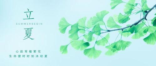 北方立夏吃麻瓜,北方传统美食——麻瓜的诱惑