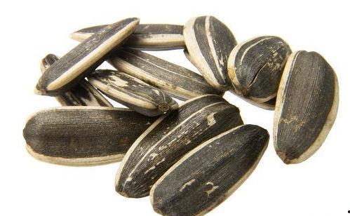 吃瓜楼瓜子,品味生活，笑看风云