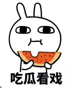 快穿嘎嘎吃瓜4,嘎嘎吃瓜，解锁无尽欢乐之旅