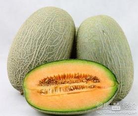 左宗棠吃哈密瓜,一段历史佳话的甜蜜回味