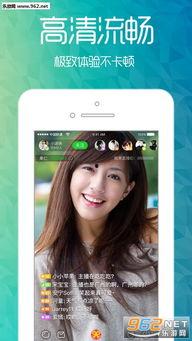 小说直播心声吃瓜,瓜田里的秘密花园