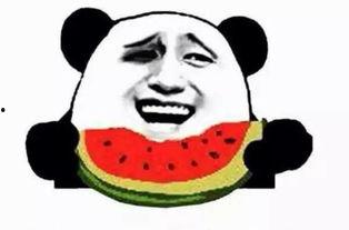 吃瓜群众阿白,揭秘娱乐圈背后的那些事儿