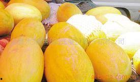 乌市会展吃瓜,一场吃瓜者的味蕾狂欢