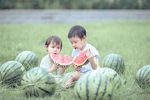 社会吃瓜娃娃,揭秘网络时代的围观文化现象