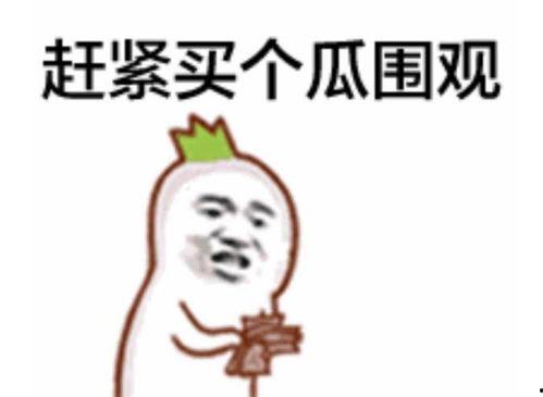 吃瓜群众龙某人,吃瓜群众视角下的传奇人生