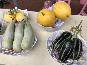 今日吃瓜详细地址,探寻幕后真相与热点焦点