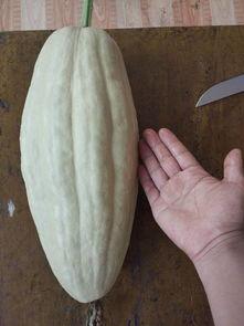 小叶子吃瓜,揭秘娱乐圈幕后故事