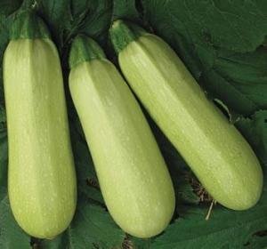 威县吃瓜事件最新,一场网络热议背后的真相与反思