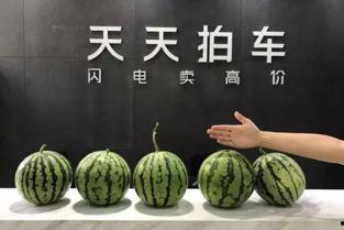 云南话打车吃瓜