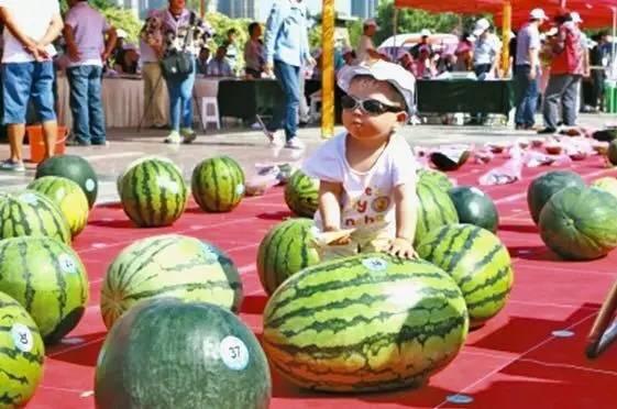 吃瓜大赛吃西瓜