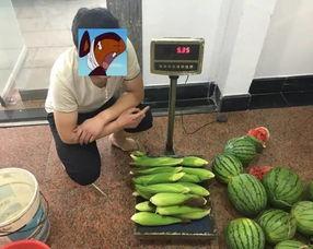 看贼吃瓜